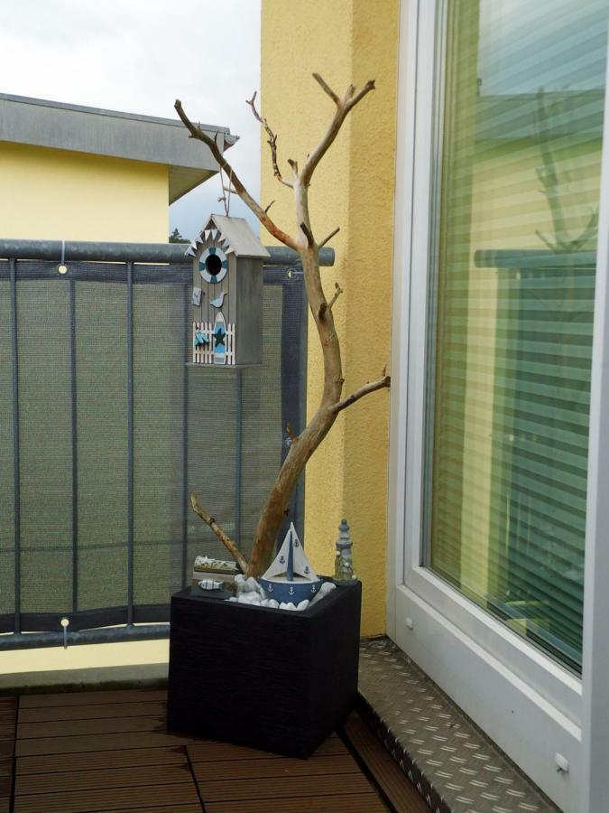 Apartament Zur Fledermaus Graal-Mueritz Zewnętrze zdjęcie